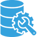 database management database management icoon