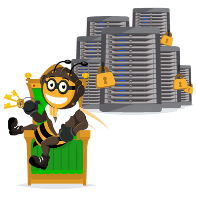 managed server hosting bee