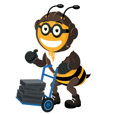 bee moving service