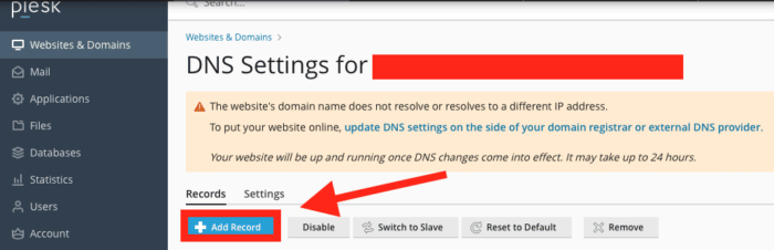 dns settings screen in plesk