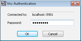 VNC-connect-with-SSH-tunnel-02