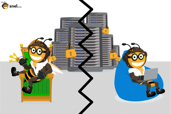 VS managed servers versus unmanaged servers illustration of two snel.com mascotte bees