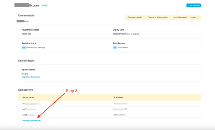 Scroll naar beneden en selecteer "Manage nameservers"