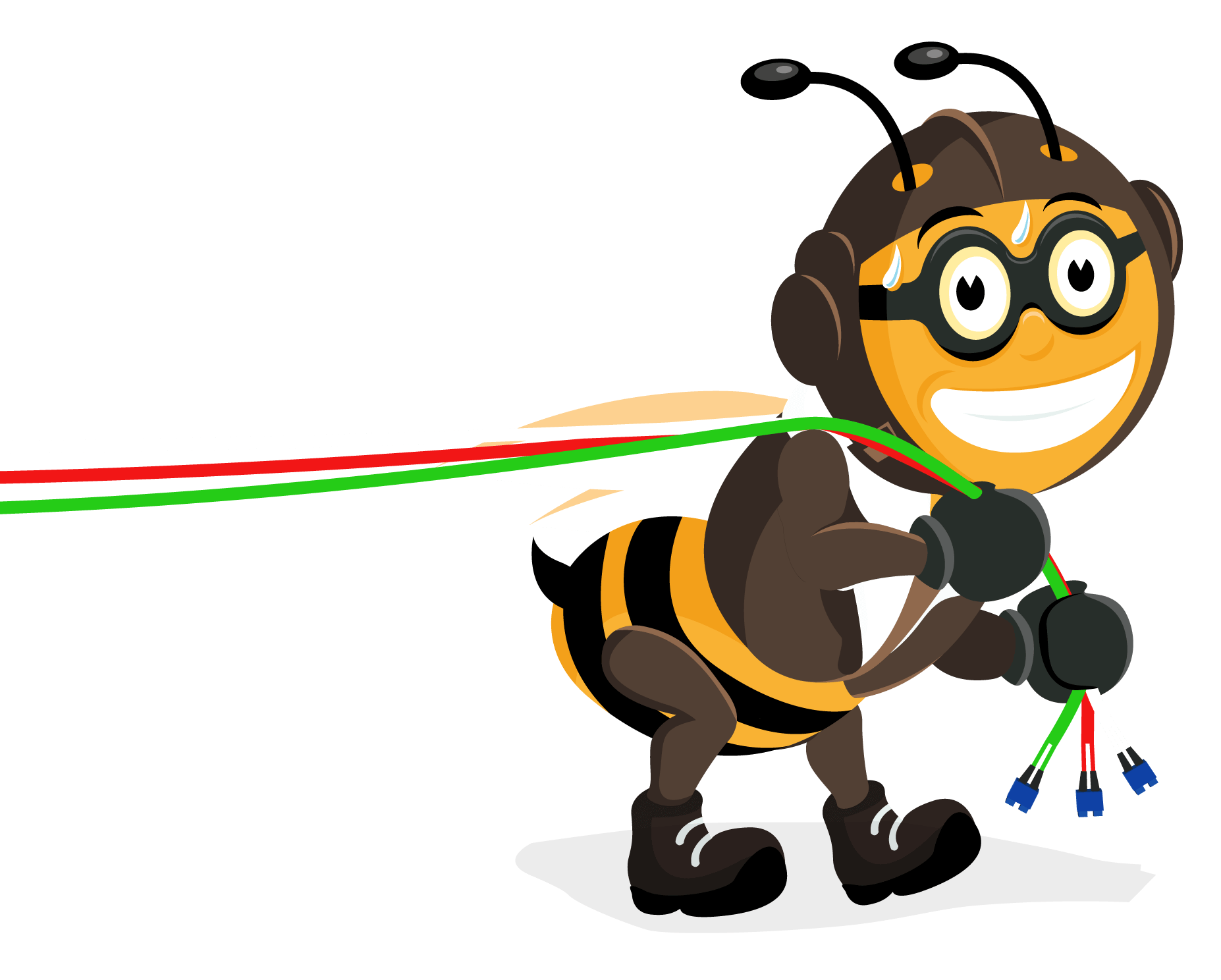 snel.com bee-network