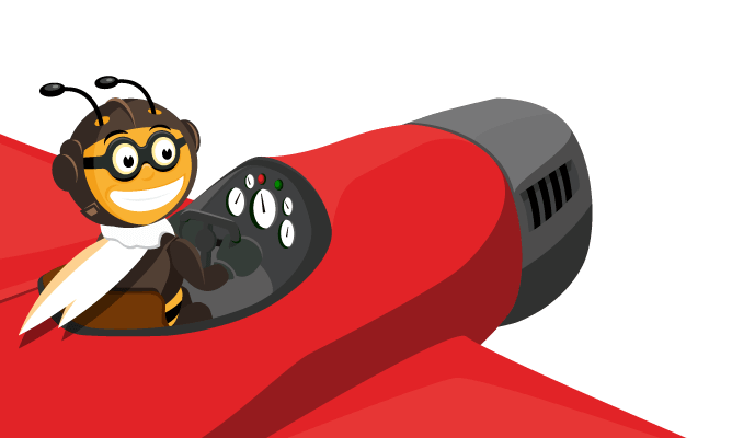 bee-plane