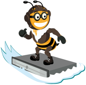 managed dedicated server surfer bee