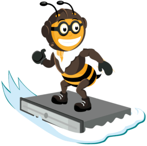bee-surfer managed dedicated server surfer bee