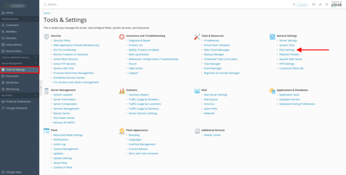 en-secondary-dns-template-plesk