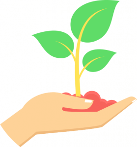 environement-friendly-hosting