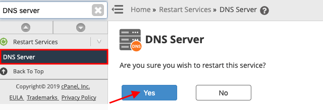nl-secondary-dns-restart-dns-server