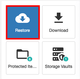 restore file