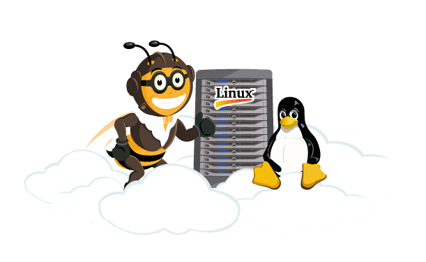 snel-Linux-VPS-image Linux managed VPS server