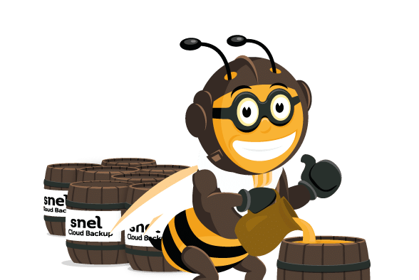 snel-cloud-backup-image-350x400