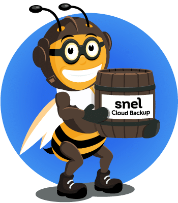 snel-cloud-backup-image-350x400