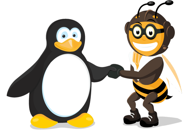 snel-linux snel-linux