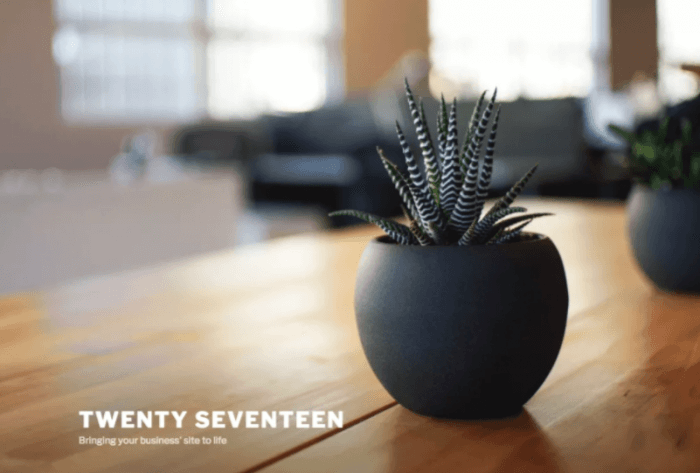 twenty seventeen
